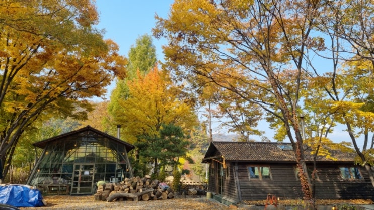 가을 카페 추천 1 - [경기][동두천] 어센틱