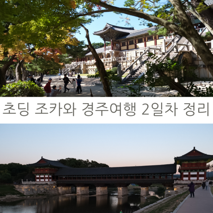  초딩 조카와 경주 2박 3일 여행 이틀째날 여행 코스 요약 정리