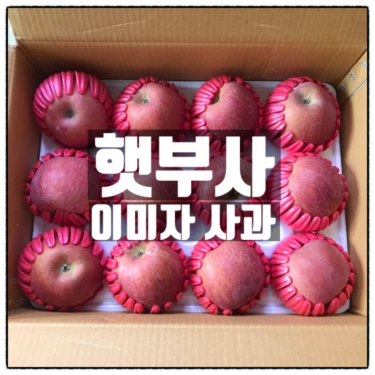 마켓림 이미자사과 햇사과 세상 달콤한 햇 부사 맛 리뷰 마켓림 이미자사과 햇사과 세상 달콤한 햇 부사 맛 리뷰