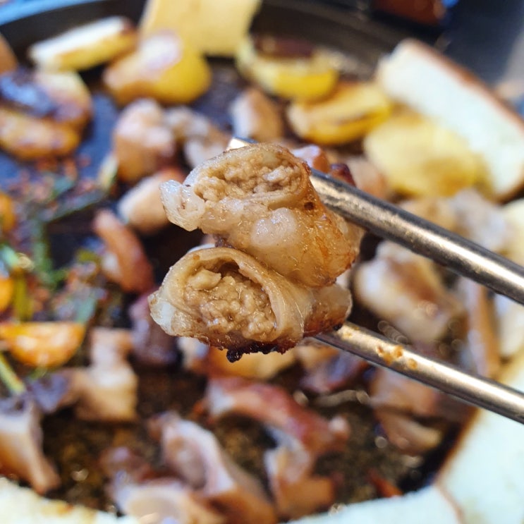  녹번 곱창 생고기 맛집 순이네생고기&곱창 소 곱창 회식장소 추천