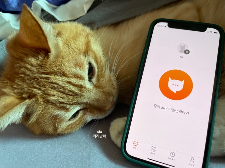  고양이 번역기 , 미야오톡 사용 방법