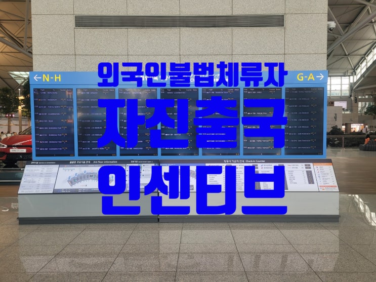 외국인불법체류자 자진출국 인센티브 10월 31일까지(태국_러시아_베트남_필리핀_카자흐스탄_우즈베키스탄_몽골인국제결혼 예정이라면)