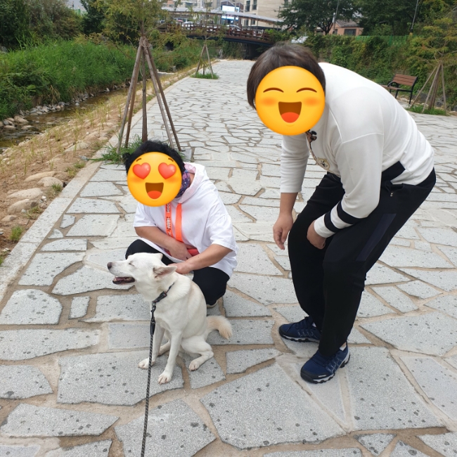 애교 많은 강아지 덕분에 집안 분위기도 좋아졌어요 애교 많은 강아지 덕분에 집안 분위기도 좋아졌어요