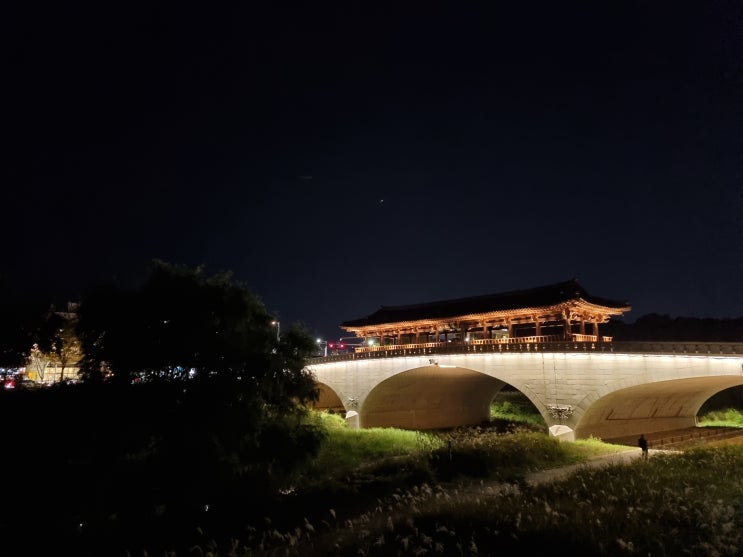 2022년 10월 셋째 주 일상 2022년 10월 셋째 주 일상