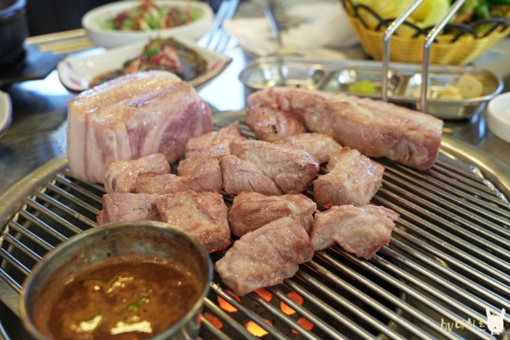  제주도민 맛집 진도새기 제주시 흑돼지