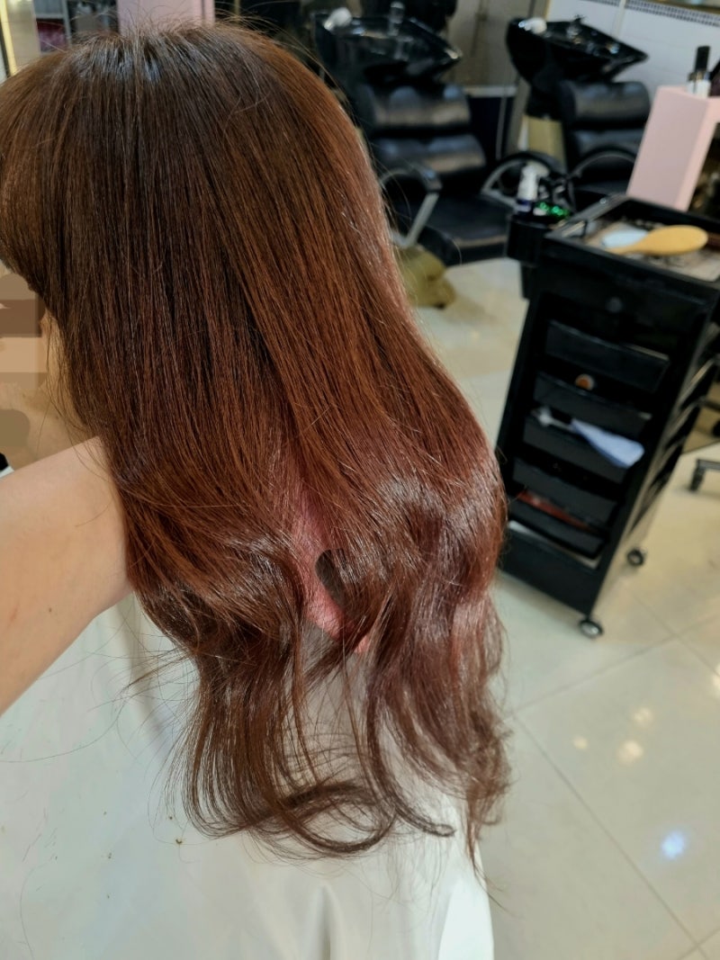 쇼콜라브라운 염색 : 네이버 블로그