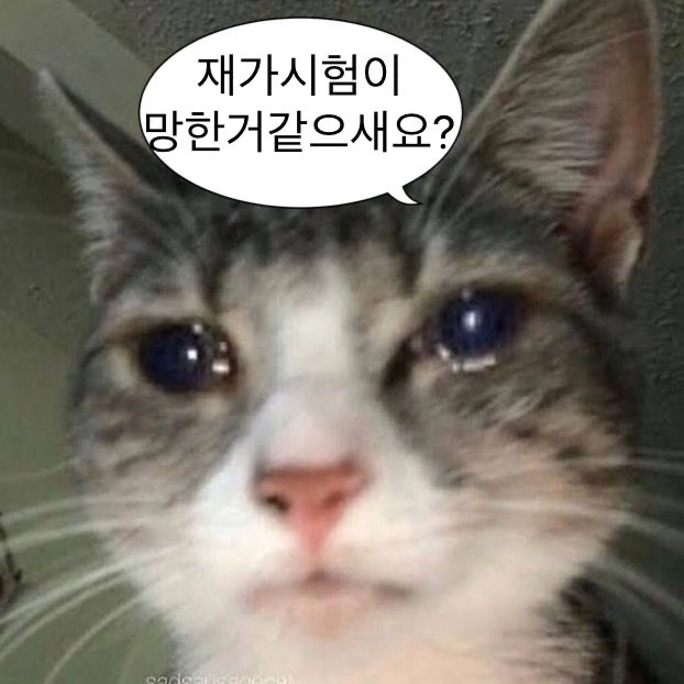  10/17-21 공대생 1학년 2학기 중간고사 끝