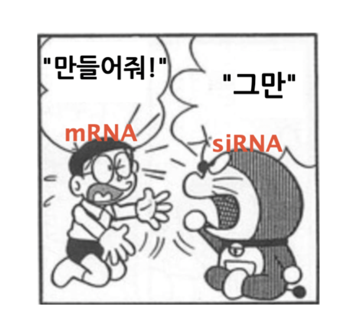 mRNA : "만들어줘"                        ㅤㅤㅤㅤㅤsiRNA  : "그만"