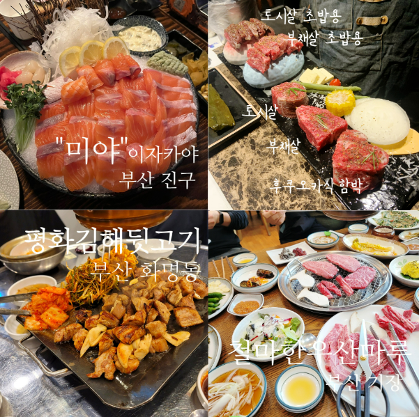  [블챌] 쩝쩝박사의 일기 1탄 10월 10일(월)~16일(일)
