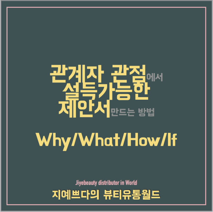  [뷰티유통_Proposal] why, what,how, if 설득 TIP