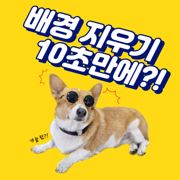  아이폰 iOS 업데이트 누끼따기 배경 제거 지우기 방법 꿀팁