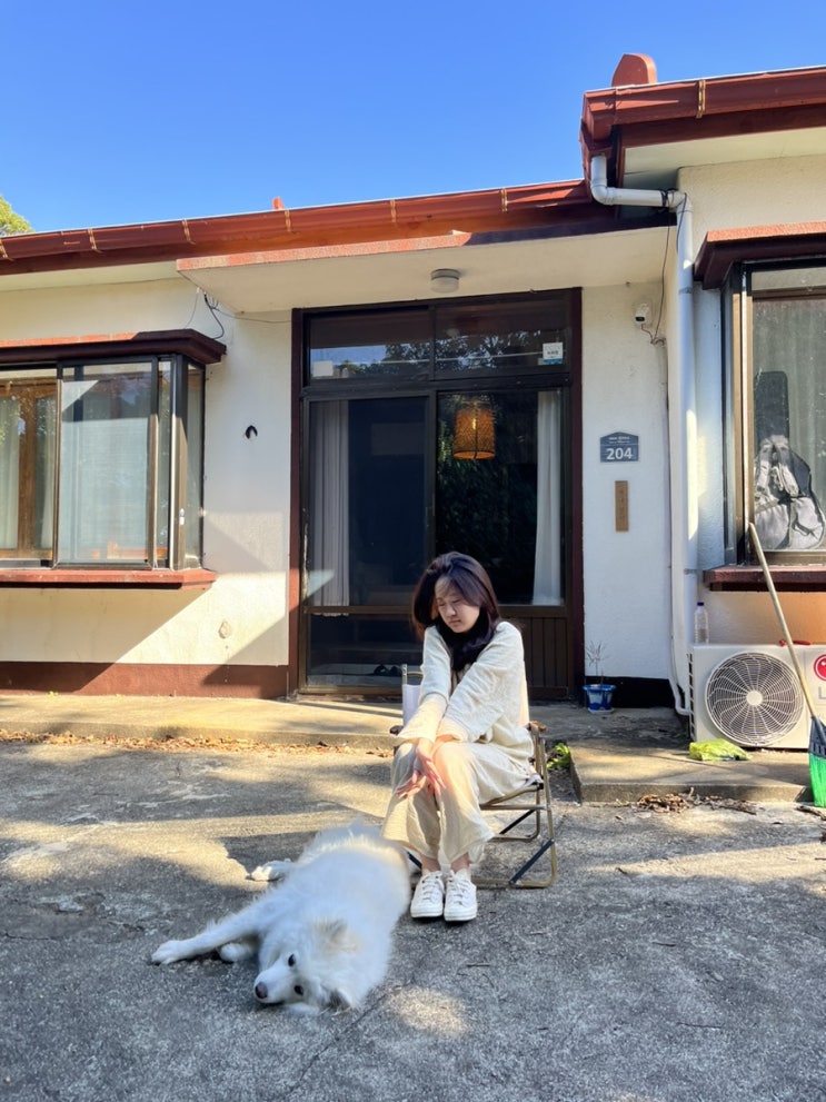  (제주2/2)생일여행두번째이야기