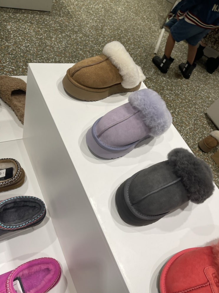  UGG 어그 털 슬리퍼 디스케트 뮬 내돈내산 월동준비 ( + 사이즈 팁 )