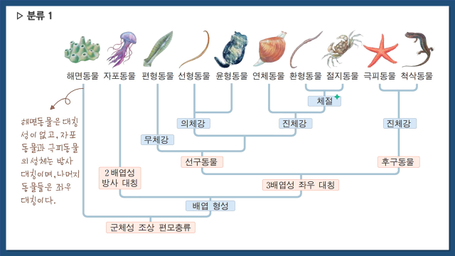 생물의 분류 - 동물계 : 네이버 블로그