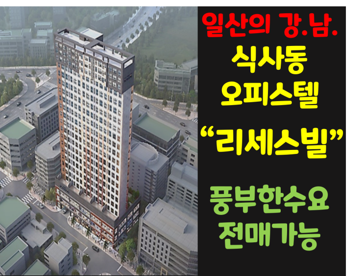  식사동 오피스텔 지산 리세스빌의 모든정보  /모두선호하는 2룸 복층형 / 전매가능