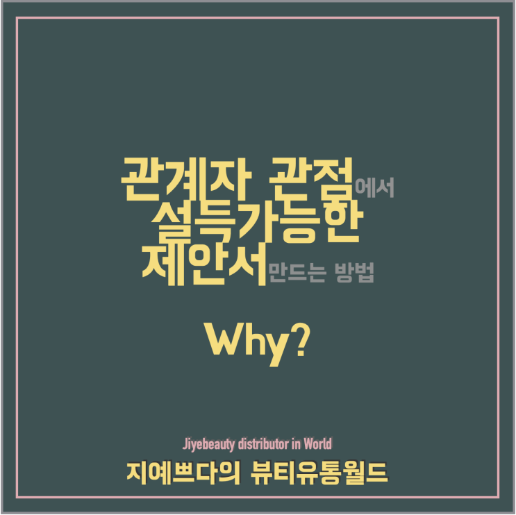  [뷰티유통_Proposal] Why로 스토리라인 개발하기