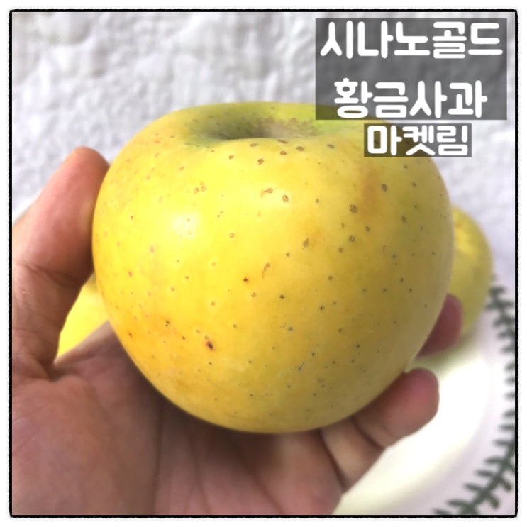  시나노골드 마켓림 이미자사과 진짜 맛있는 황금사과 후기