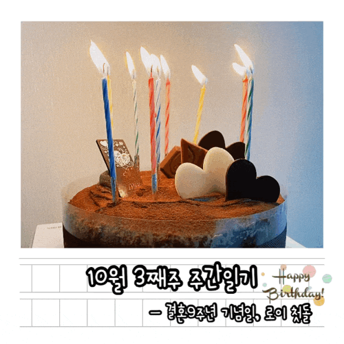  10월 3째주 주간일기 - 결혼9주년, 로이 첫돌
