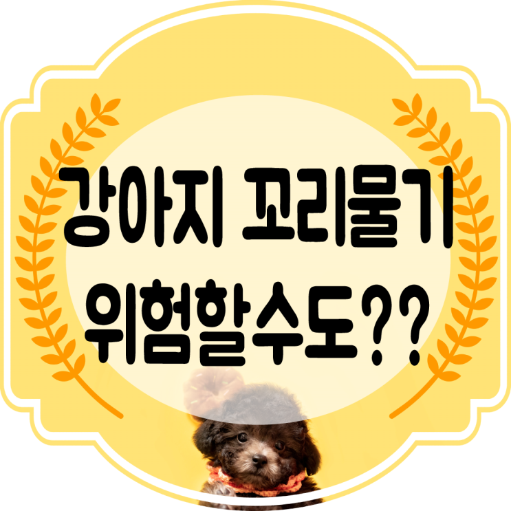  강아지 꼬리물기. 잡기 행동 생각보다 위험할수도??