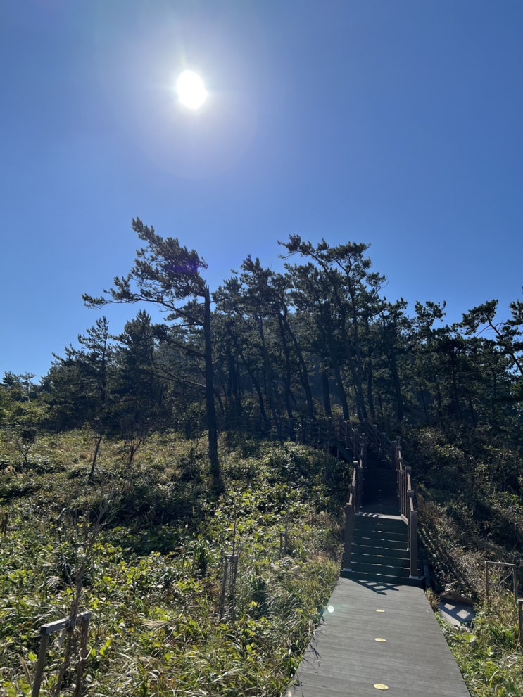  방축도 Trekking️️