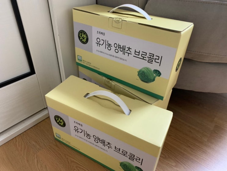 초록마을 BIG 세일기간에 산 나만의 초록마을 추천템들+ 할인품목정보 (+ 10/17일~10/30일) 유기농 양배추브로콜리, 진심담은 꿀생강차, 한알바로육수, 콩나물, 시금치 후기 초록마을 BIG 세일기간에 산 나만의 초록마을 추천템들+ 할인품목정보 (+ 10/17일~10/30일) 유기농 양배추브로콜리, 진심담은 꿀생강차, 한알바로육수, 콩나물, 시금치 후기