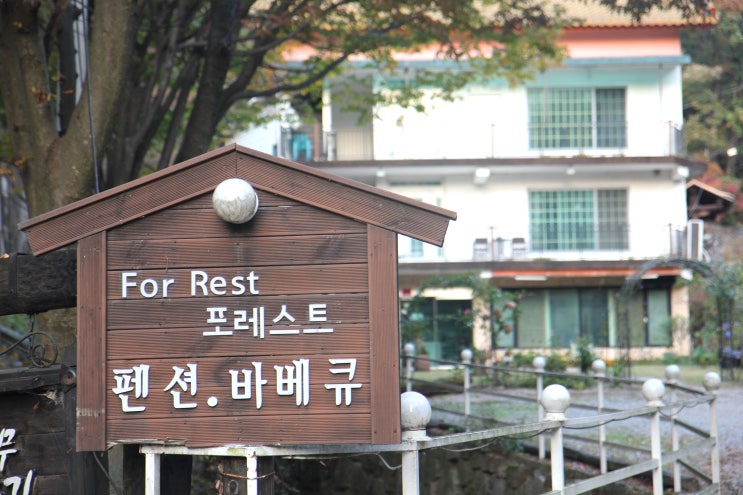용인 단체펜션 포레스트펜션 여럿이 함께하기 좋은 곳 용인 단체펜션 포레스트펜션 여럿이 함께하기 좋은 곳