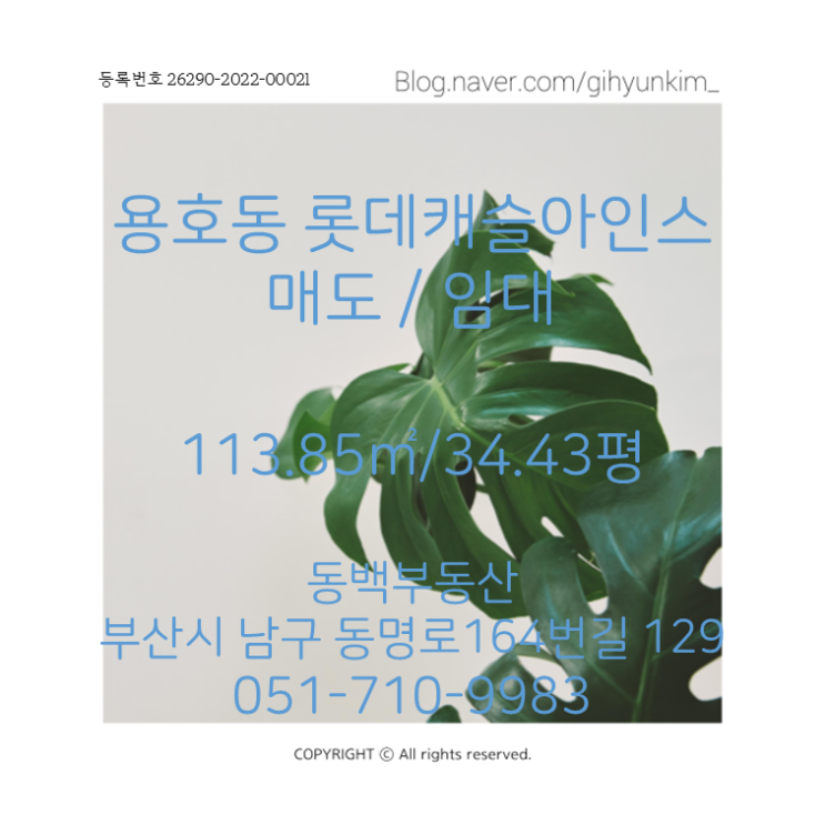 용호동 롯데캐슬아인스 34평형 매매 / 월세
