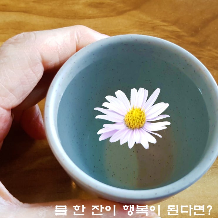 건조한 가을 건강하게 물 마시기