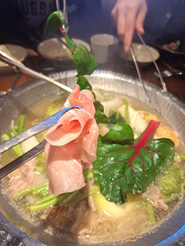  샤블랑157 삼성역 샤브샤브 맛집 점심 회식 강력 추천 후기