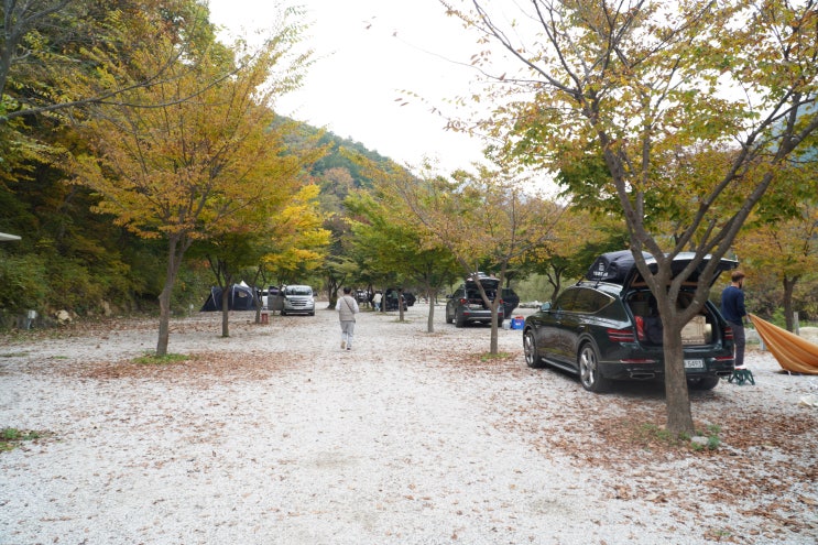  포천 담터금학캠핑장 추천 장단점 솔직 후기
