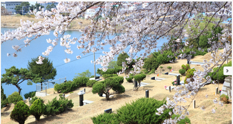 경기도 광주에 위치한 공원묘지(수목장) 시설 가격 안내(서울장묘산업)