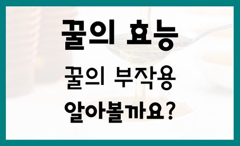  꿀의 효능 및 꿀 부작용