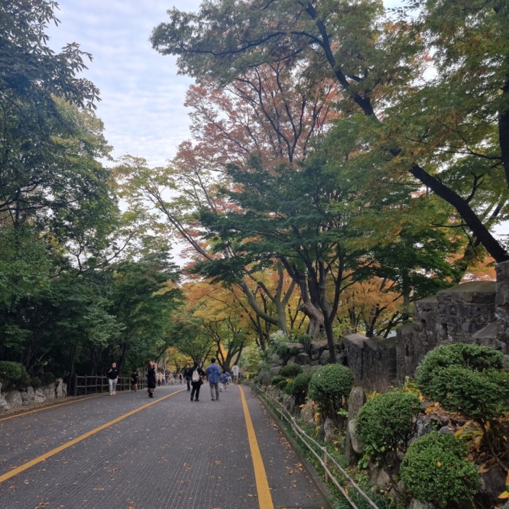  10월 셋째 주 시차극복