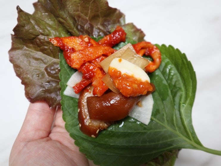  세종 족발 맛집 세종시 도담동 돼지가족족발