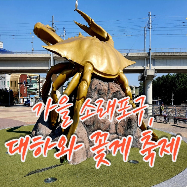  대하와 꽃게(ft. 전어) 찾아 소래포구 왔어요