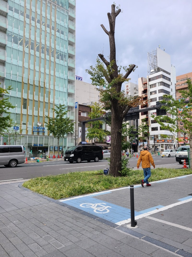 3년만의 일본, 오사카 01 - 난바/사이제리야/신사이바시파르코/나가노마켓/치이카와반점/덴덴타운/고기극장 : 네이버 블로그