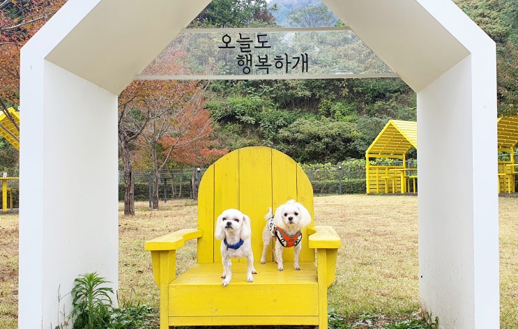  가평휴게소 춘천 방향  옐로우스탑 애견 동반 feat.휴개소