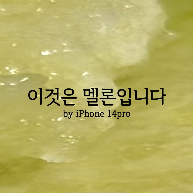  아이폰 14프로 찐 카메라 화질 | 6년만에 핸드폰 바꾼 후기