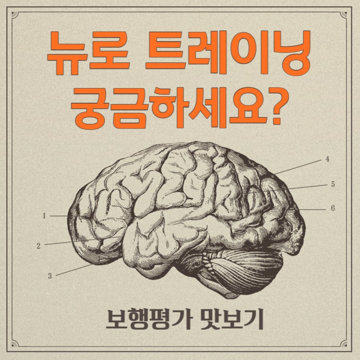  뉴로 트레이닝  (feat. 보행 평가)