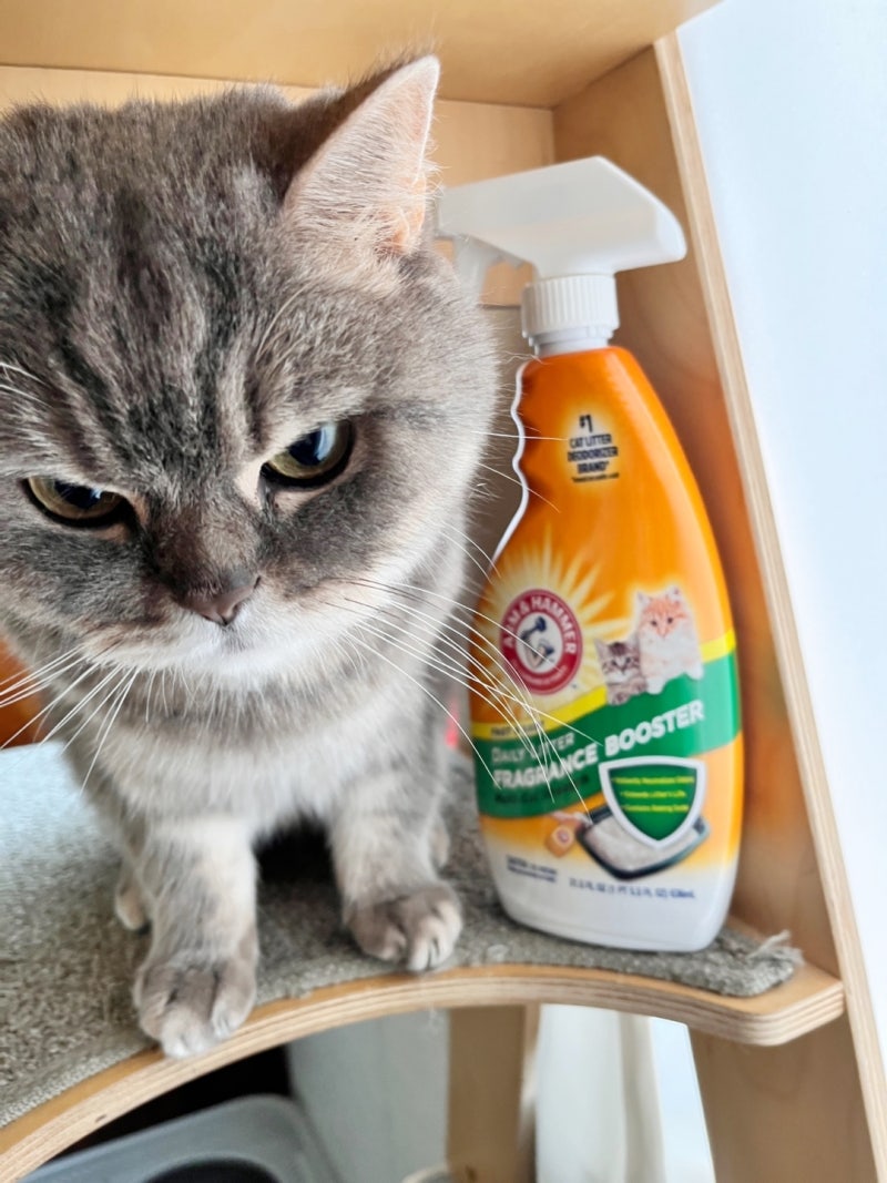 고양이 모래 탈취제 암앤해머 캣리터 디오더라이저 스프레이로 상쾌하게