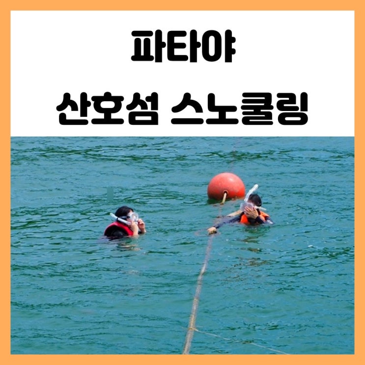 태국 파타야 호핑투어 산호섬 스노쿨링 물고기 구경 태국 파타야 호핑투어 산호섬 스노쿨링 물고기 구경