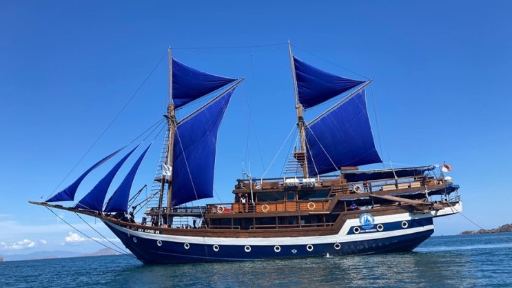  인도네시아 스쿠버다이빙 여행 씨사파리 7호(Sea Safari VII) 총정리