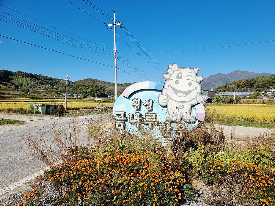 금나루횡성한우 사진 2