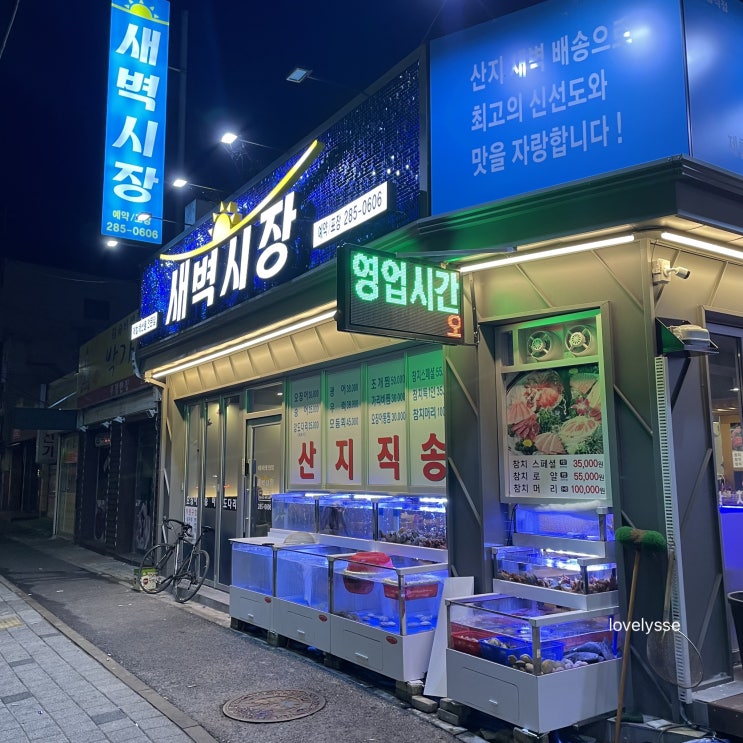  문창동 산지 새벽배송으로 신선한 회가 가득한 새벽시장