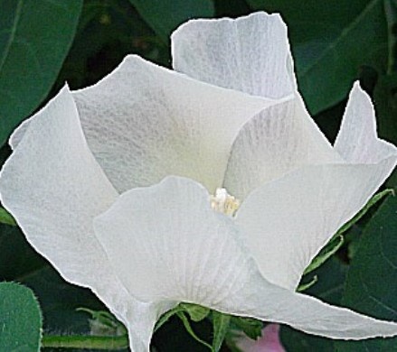김학래중국집 차이나린찐은 명당이다.