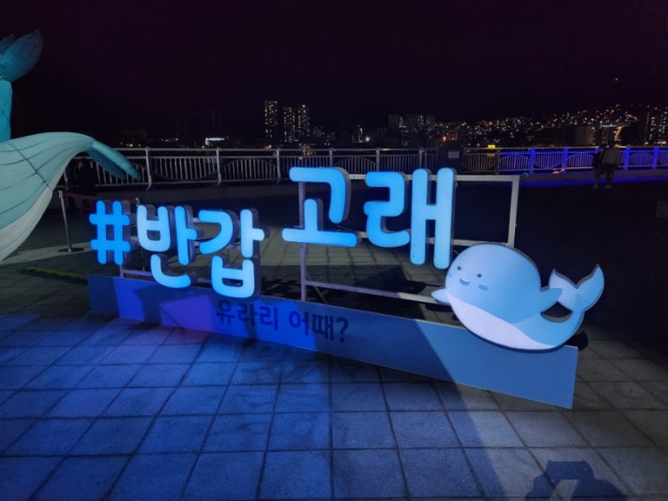  바다 사진관 #유라리 네컷