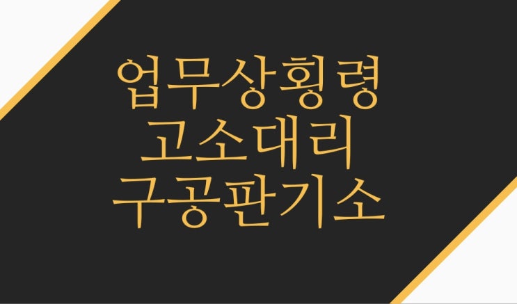  업무상횡령 고소대리 구공판기소 사례