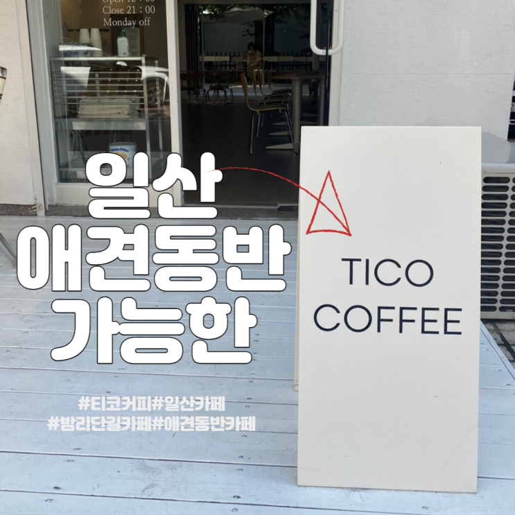  [일산] 애견동반 가능한 일산 밤리단길 카페 - 티코커피 (TICO)