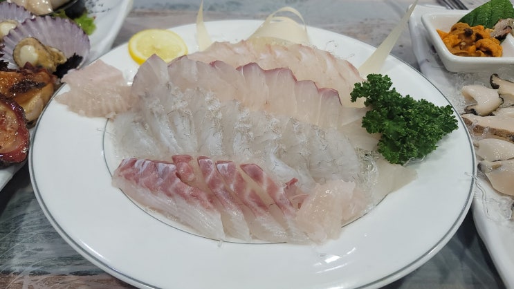 거제횟집 싱싱한 회가 맛있는 오션뷰 강성횟집