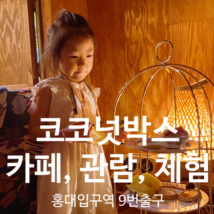  홍대 코코넛박스 - 이국적인 분위기와 포토존이 있는 핫플레이스 코코넛박스로 (feat. 노키즈존)